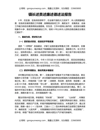 镇长述责述廉述德述法报告