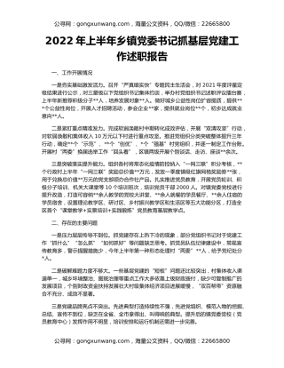 2022年上半年乡镇党委书记抓基层党建工作述职报告