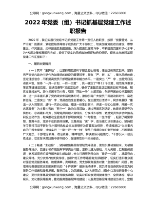 2022年党委（组）书记抓基层党建工作述职报告