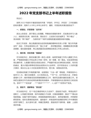 2022年党支部书记上半年述职报告