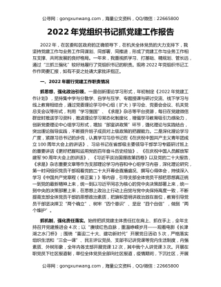2022年党组织书记抓党建工作报告
