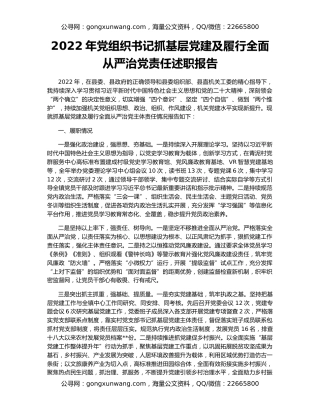 2022年党组织书记抓基层党建及履行全面从严治党责任述职报告