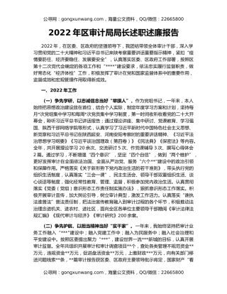 2022年区审计局局长述职述廉报告