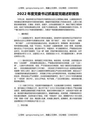 2022年度党委书记抓基层党建述职报告