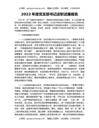 2022年度党支部书记述职述廉报告