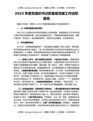 2022年度党组织书记抓基层党建工作述职报告