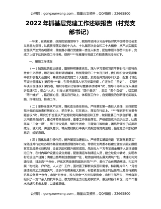 2022年抓基层党建工作述职报告（村党支部书记）