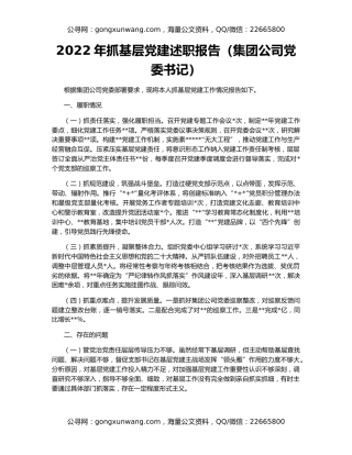 2022年抓基层党建述职报告（集团公司党委书记）（2）