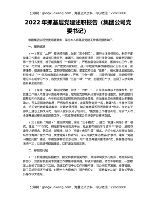 2022年抓基层党建述职报告（集团公司党委书记）（3）
