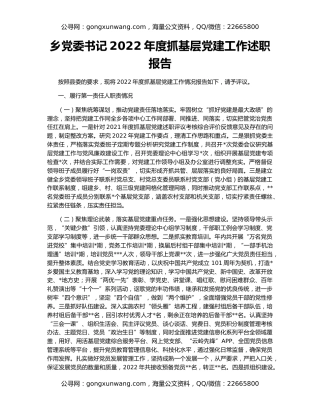 乡党委书记2022年度抓基层党建工作述职报告