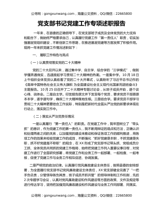 党支部书记党建工作专项述职报告