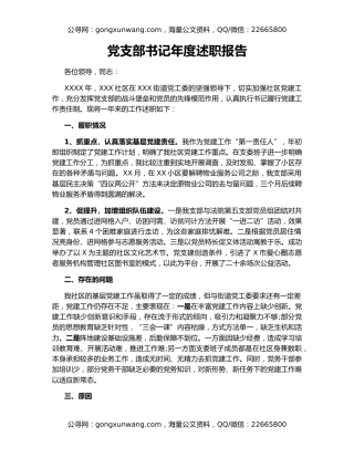 党支部书记年度述职报告