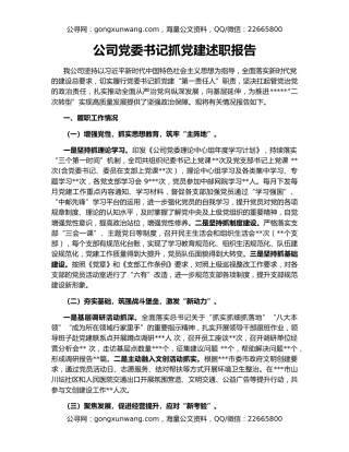 公司党委书记抓党建述职报告