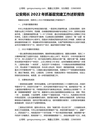 公安局长2022年抓基层党建工作述职报告