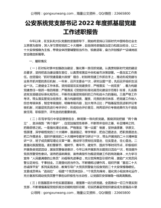公安系统党支部书记2022年度抓基层党建工作述职报告