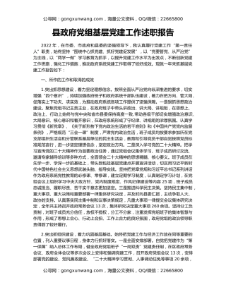 县政府党组基层党建工作述职报告