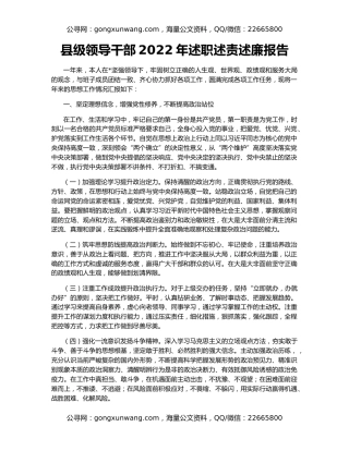 县级领导干部2022年述职述责述廉报告