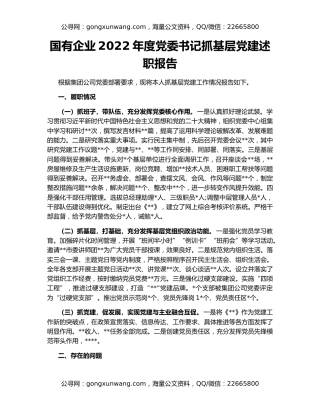 国有企业2022年度党委书记抓基层党建述职报告