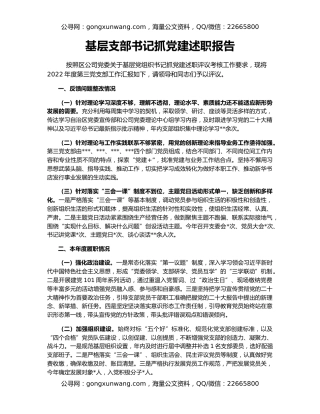 基层支部书记抓党建述职报告