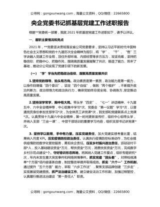 央企党委书记抓基层党建工作述职报告