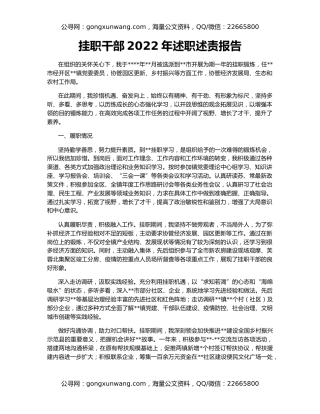 挂职干部2022年述职述责报告