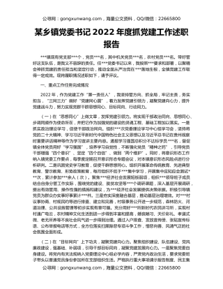 某乡镇党委书记2022年度抓党建工作述职报告