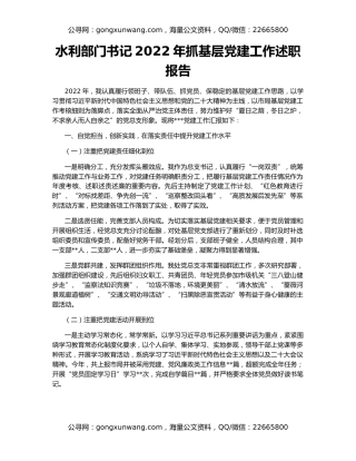 水利部门书记2022年抓基层党建工作述职报告