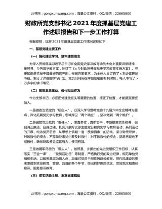 财政所党支部书记2021年度抓基层党建工作述职报告和下一步工作打算