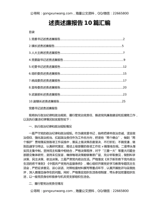 述责述廉报告10篇汇编