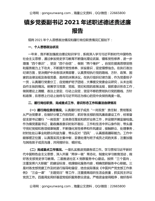 镇乡党委副书记2021年述职述德述责述廉报告