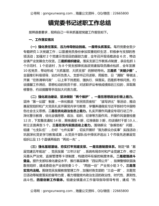 镇党委书记述职工作总结