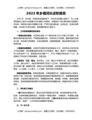 2022年乡镇河长述职报告