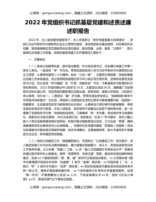 2022年党组织书记抓基层党建和述责述廉述职报告