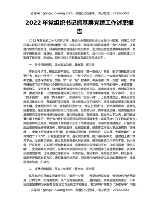 2022年党组织书记抓基层党建工作述职报告