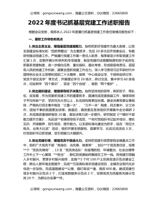 2022年度书记抓基层党建工作述职报告