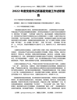 2022年度党组书记抓基层党建工作述职报告