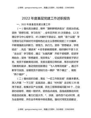 2022年度基层党建工作述职报告（2）