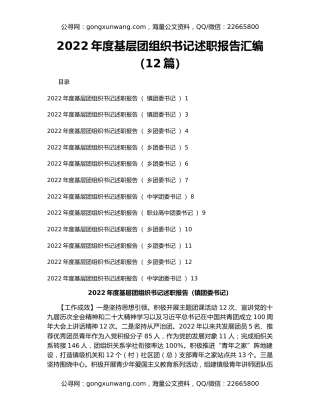 2022年度基层团组织书记述职报告汇编（12篇）
