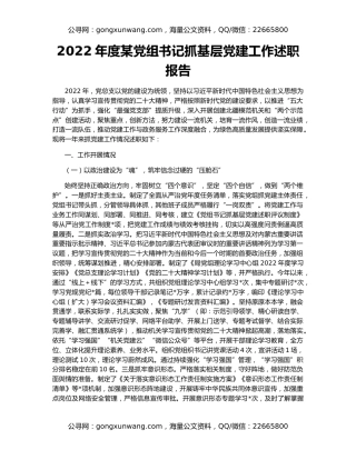 2022年度某党组书记抓基层党建工作述职报告