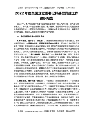 2022年度某国企党委书记抓基层党建工作述职报告