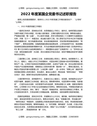2022年度某国企党委书记述职报告