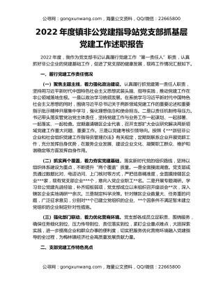 2022年度镇非公党建指导站党支部抓基层党建工作述职报告