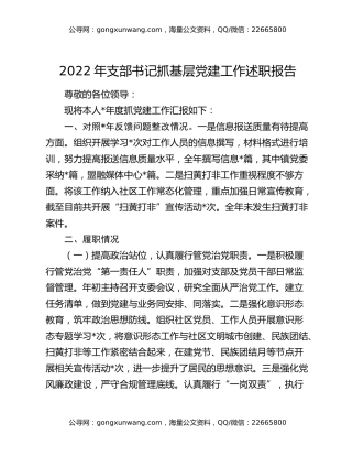 2022年支部书记抓基层党建工作述职报告