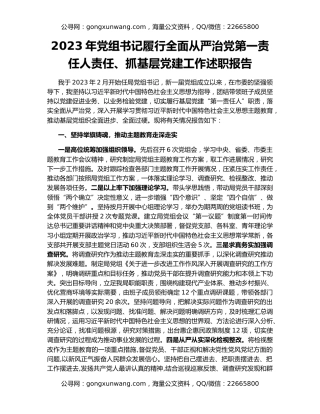 2023年党组书记履行全面从严治党第一责任人责任、抓基层党建工作述职报告
