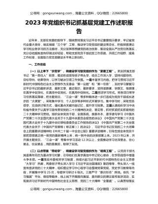 2023年党组织书记抓基层党建工作述职报告