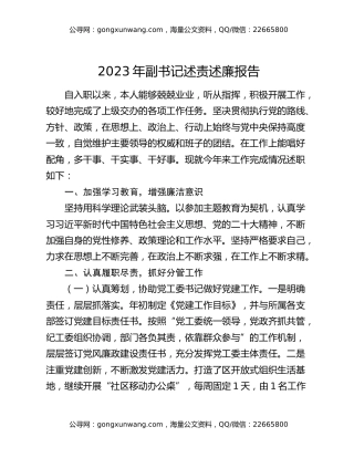 2023年副书记述责述廉报告
