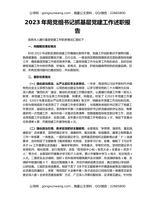 2023年局党组书记抓基层党建工作述职报告
