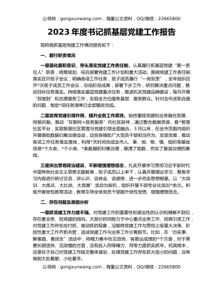 2023年度书记抓基层党建工作报告