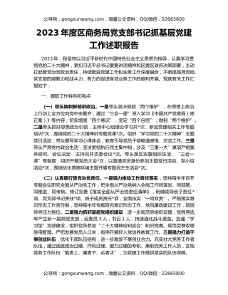 2023年度区商务局党支部书记抓基层党建工作述职报告