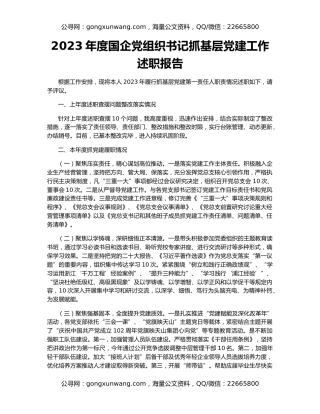 2023年度国企党组织书记抓基层党建工作述职报告
